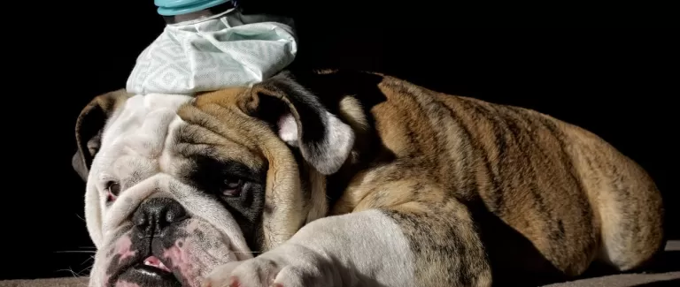 4 ways coffee will be your hangover cure over the holiday period