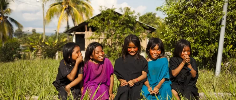 ​Saving the rainforest whilst you work (and enjoy a coffee)