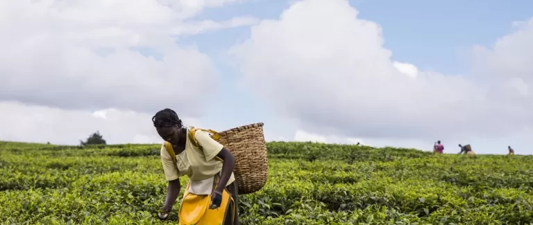 Let's get involved in Fairtrade Fortnight!