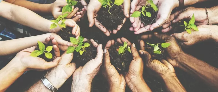 6 easy ways to green up your office today