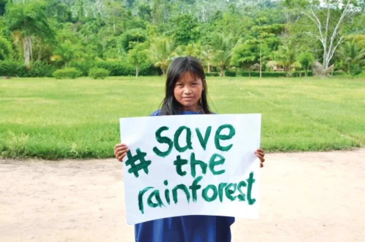 Help save the rainforest