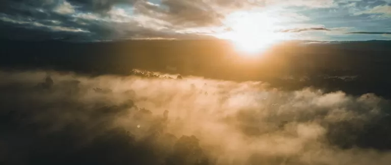 Is this the future of coffee?