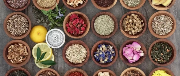 The benefits of drinking herbal teas