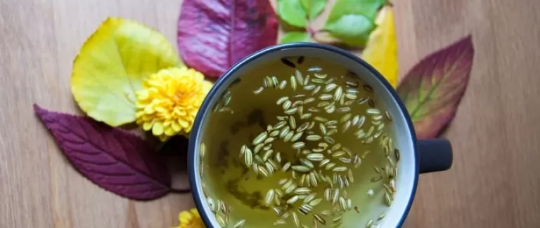Detox with the cleansing power of fennel tea