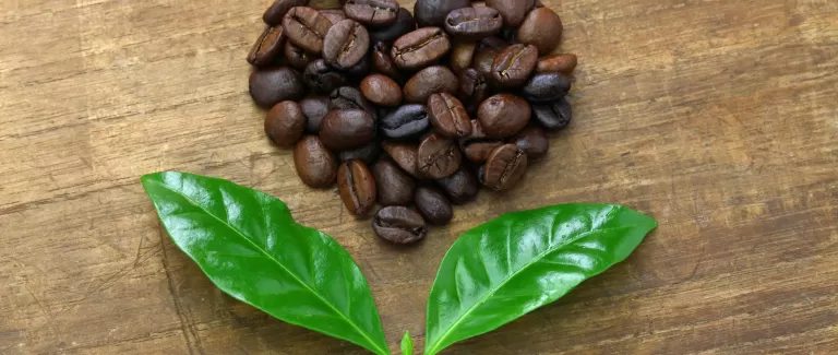 Become a sustainable coffee drinker
