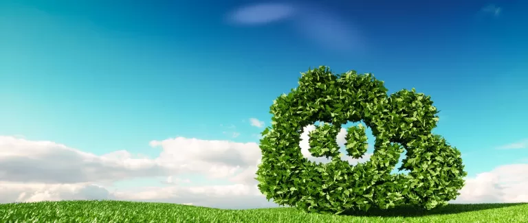 We have reduced our carbon footprint