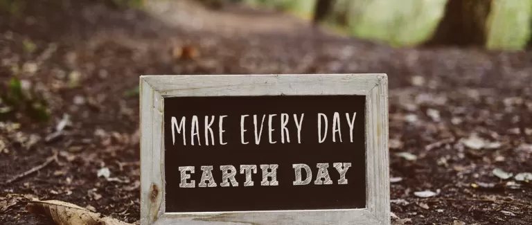 Coffee - Making a More Sustainable Choice 