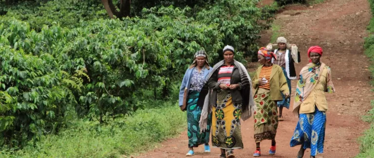 SAVING TANZANIA’S COASTAL FORESTS: one cup of coffee at a time. 