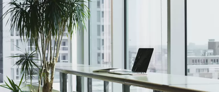 30 Office Sustainability Tips for a Greener Workplace