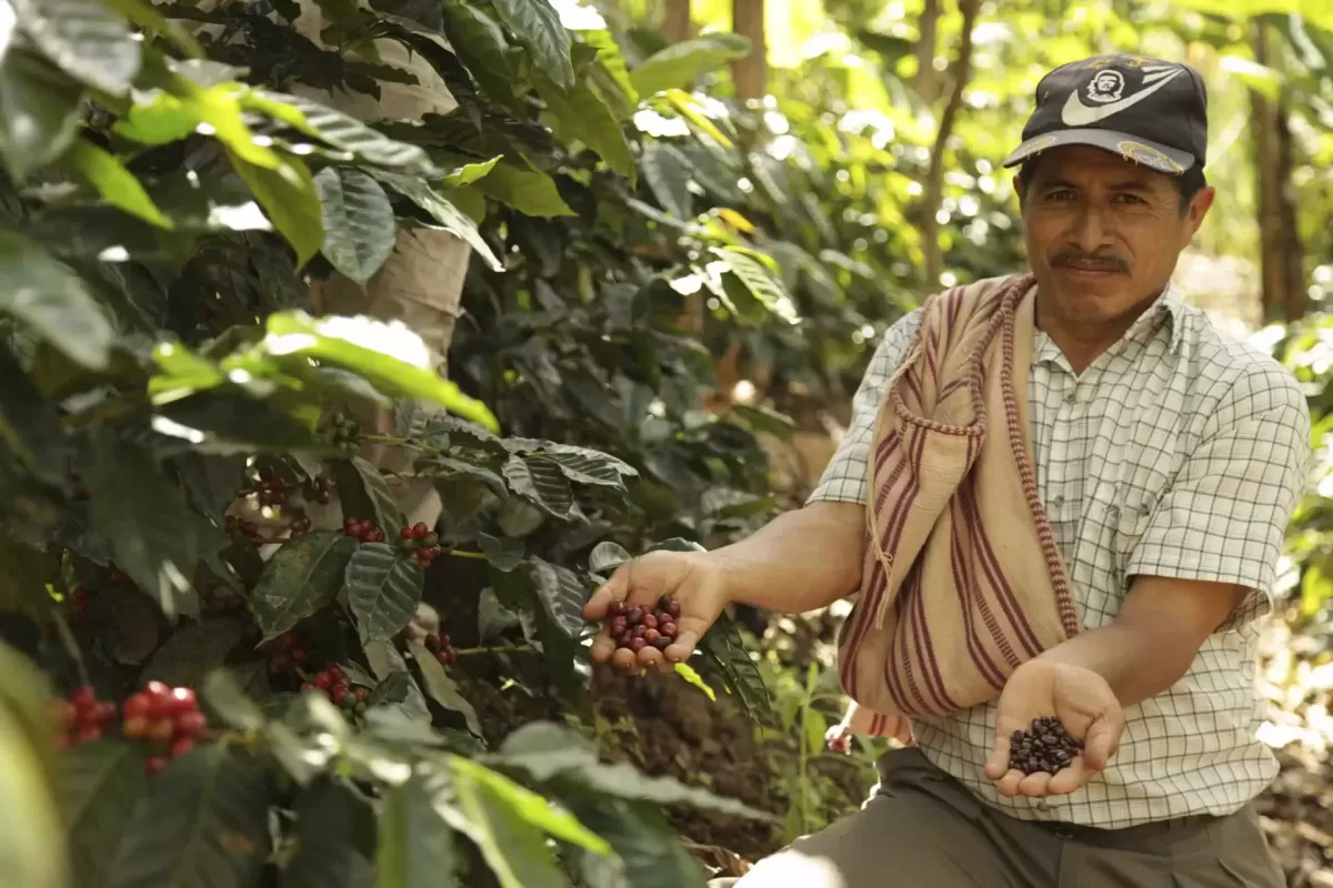Puro Fairtrade Coffee UK Scaled