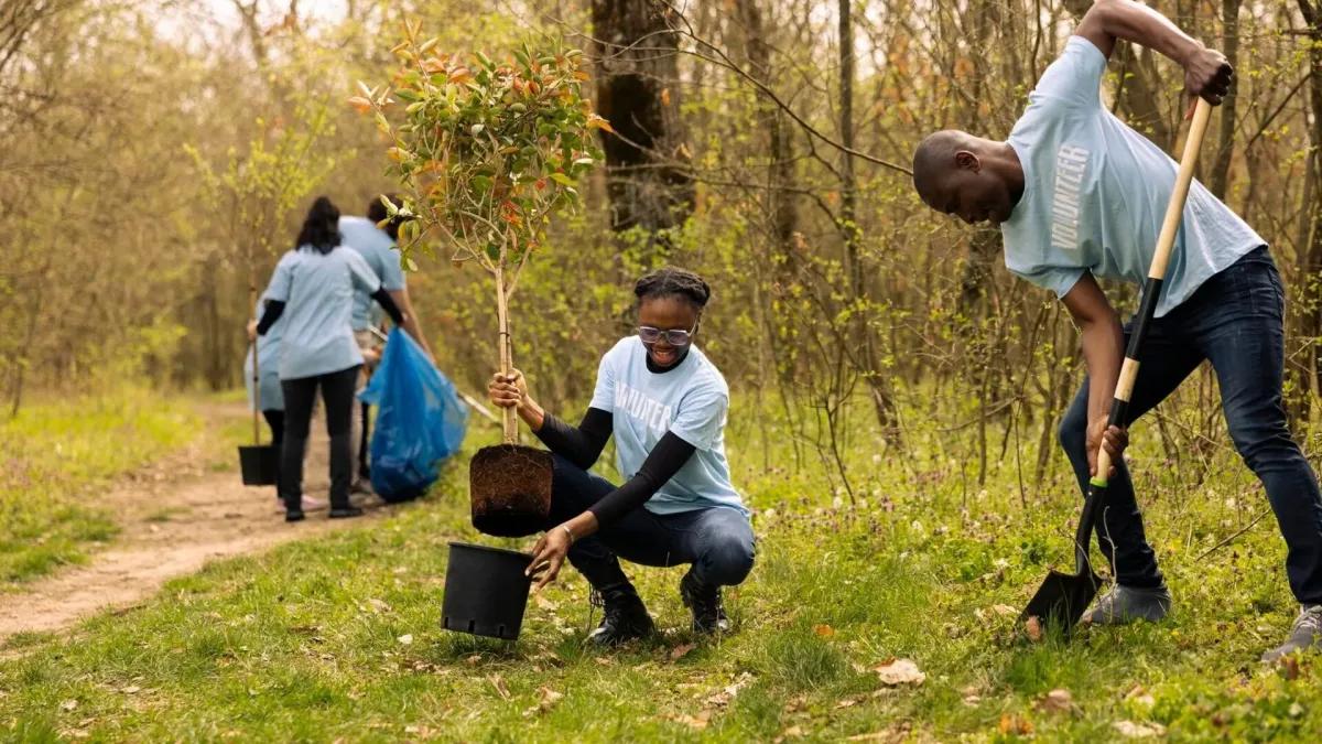 Volunteers Team Dig Holes Plant Trees Woodland Ecosystem_482257 90965 (1)