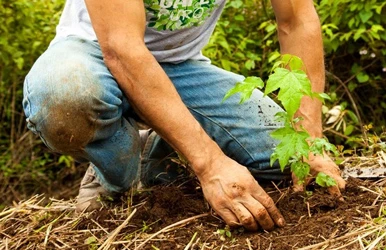 Puro coffee & the environment